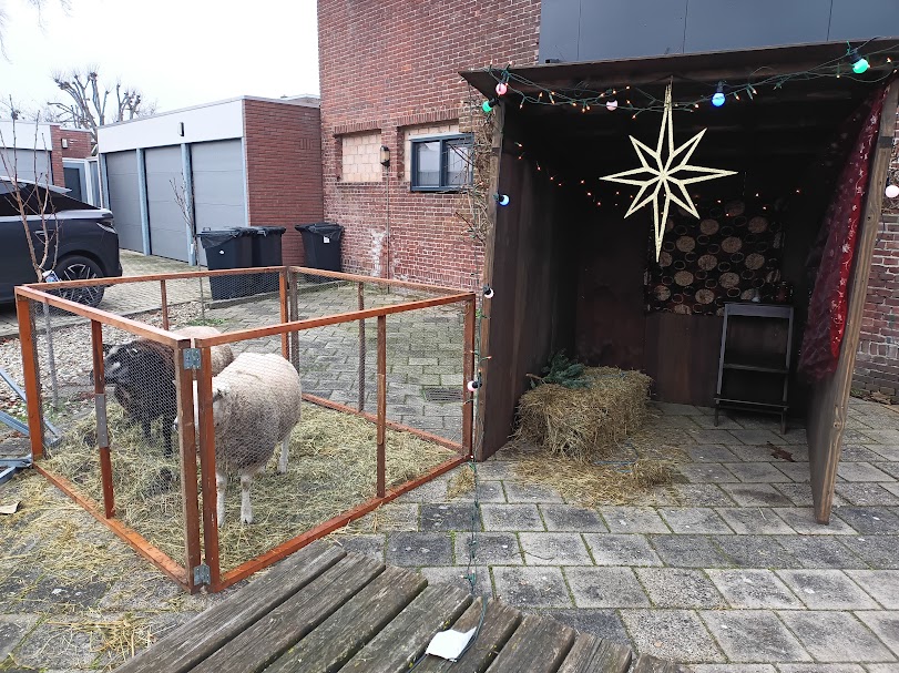 Levende kerststal bij de Huiskamer in Nijkerk